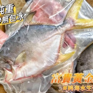 海金鯧魚（500-550g）