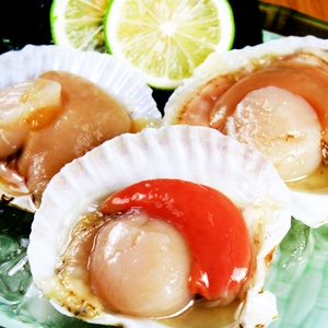 ●極鮮海扇貝●箱神嚴選 燒肉專賣●燒烤 燒肉 烤肉必備 特價：$110