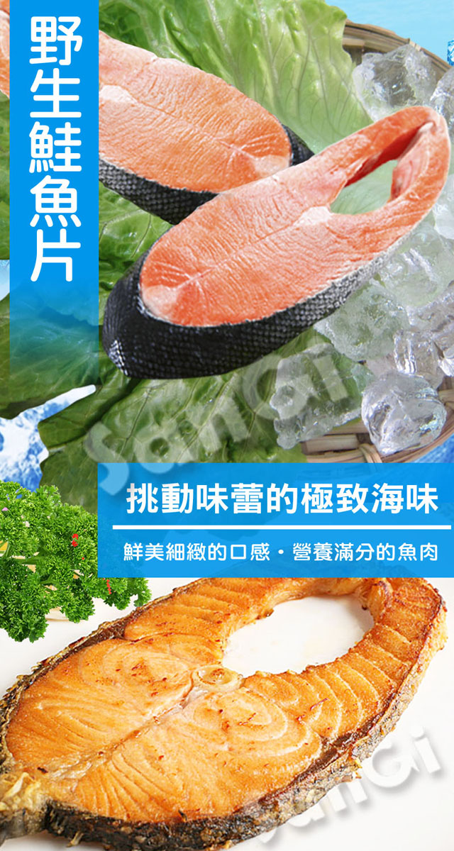 野生鮭魚片，挑動味蕾的極致海味，鮮美細緻的口感營養滿分的魚肉。