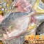 海金鯧魚（500-550g）
