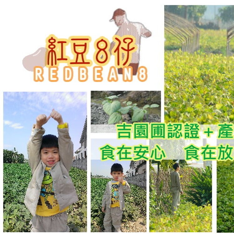 紅豆８仔《正台灣味農產品(有驗證)2017年吉園圃萬丹紅豆》真空包裝價只要$120元