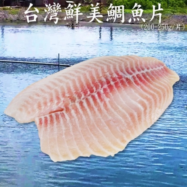 免運!【賣魚的家】大片本土鮮美鯛魚片 200-250g/片 (40片,每片132元)