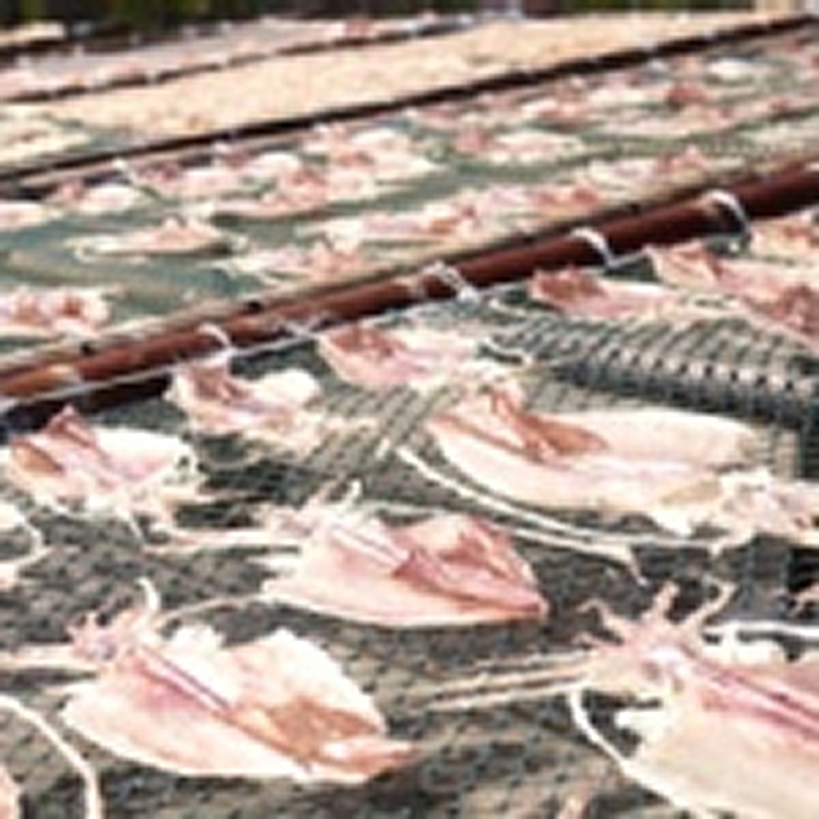 澎湖現撈鎖港小管干(中隻)