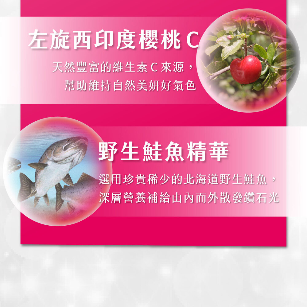 左旋西印度櫻桃C,天然豐富的維生素C來源,幫助維持自然美妍好氣色,野生鮭魚精華,選用珍貴稀少的北海道野生鮭魚,深層營養補給由內而外散發鑽石光。