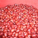 申一原豆- 屏東萬丹特選紅豆 (生）淨重：300g PP夾鍊袋　（分裝包） 特價：$60