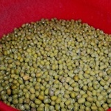 申一原豆- 特選印尼毛綠豆 (生）淨重：300g (正負10g)PP夾鍊袋　（分裝包）