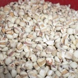 申一原豆-薏仁　（生） (生) 淨重：300g (正負10g)PP夾鍊袋　（分裝包）