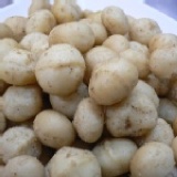 申一夏威夷火山豆（熟/薄鹽）Macademia Nuts 特仕罐裝版：200g 扎實顆粒 (輕焙薄鹽口味) 澳洲嚴選特級火山豆