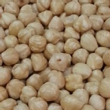 申一原果之道:榛果 (Hazelnut)