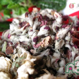 【凡吉力。益生堂草本花草茶】蘋果花茶 ~~~ 5包手工花草方便茶包