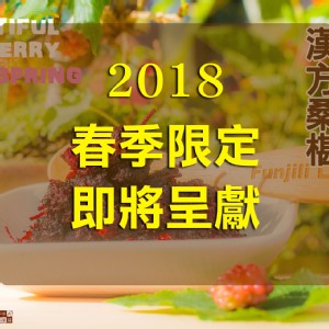 【季節限定】漢方桑椹 ~~~~ 凡吉力。益生堂蜜餞春天季節獨家限定