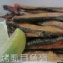 虱目魚領~有刺