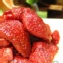 【凡吉力。益生堂蜜餞】漢方草莓 ~ 益生堂香+草莓果實香