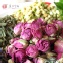 【凡吉力。益生堂草本花草茶】玫瑰花茶 ~~~ 5包手工花草方便茶包