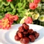 【凡吉力。益生堂蜜餞】漢方蔓越莓 ~ Q口扎實酸甜口感，益生堂獨家製法調製，加拿大進口