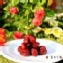 【凡吉力。益生堂蜜餞】漢方蔓越莓 ~ Q口扎實酸甜口感，益生堂獨家製法調製，加拿大進口