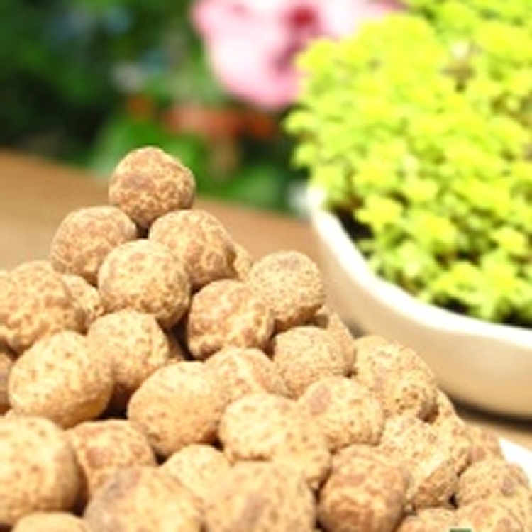 【益生堂。凡吉力】益生堂仙楂粒(小)