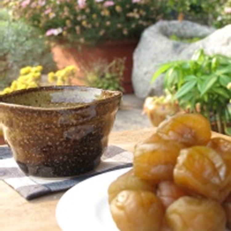 【凡吉力。益生堂蜜餞】紫蘇梅