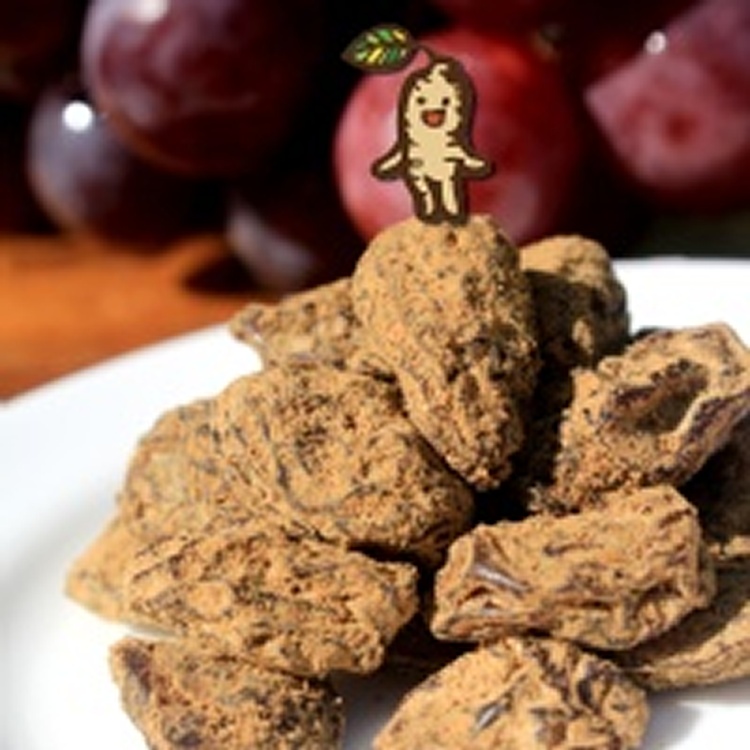 【凡吉力。益生堂蜜餞】漢方大葡萄 ～2014新品第三名，超大顆果實果肉Q感，益生堂特選製作，智利進口