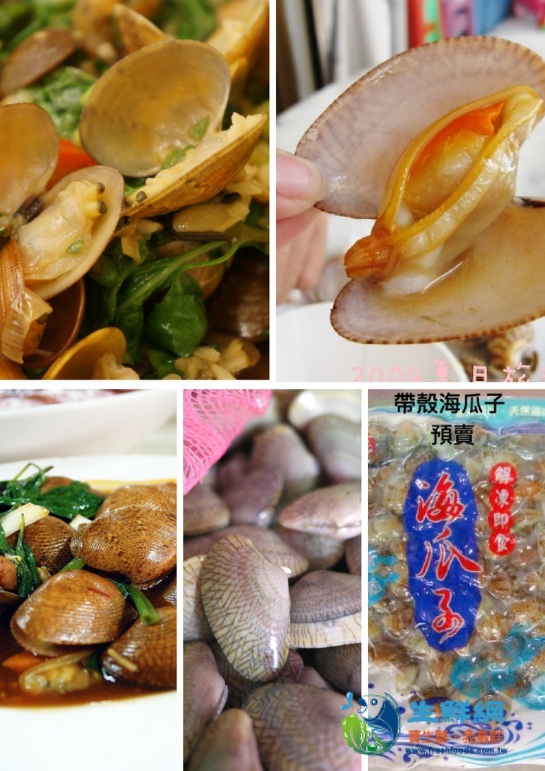 帶殼海瓜子，天然海。