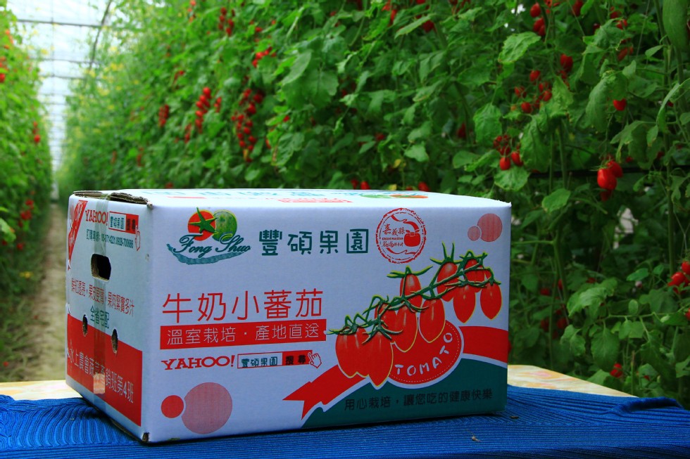 名豐碩果園，牛奶小蕃茄，溫室栽培,產地直送 。YAHOO!T的果園 搜，用心栽培,讓您吃的健康快樂。
