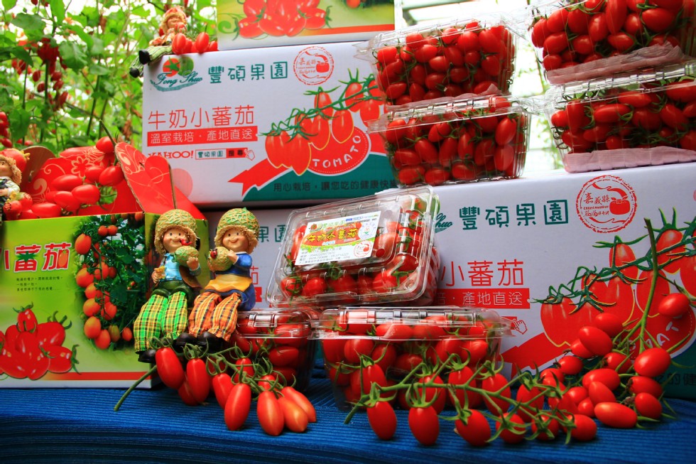 豐碩果園，生奶小蕃茄，溫室栽培,產地直送。用心就培,讓您吃的健康快，豐碩果園，小蕃茄，吉,產地直送。