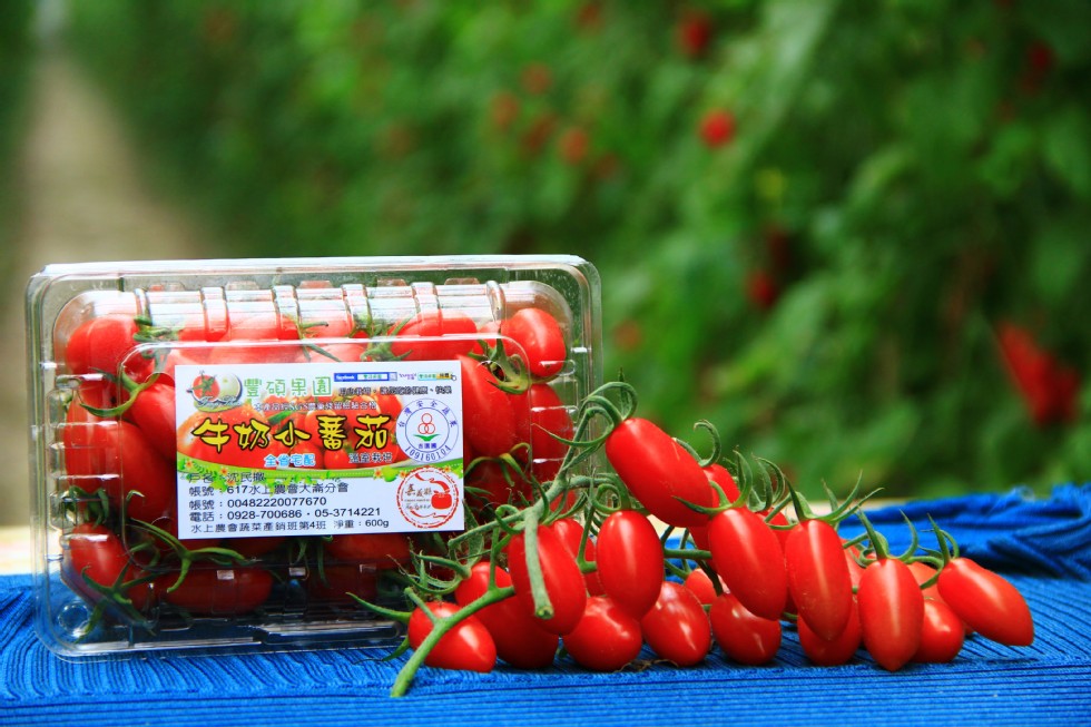 帳號617水上農會大崙分會,帳號:00482220077670,電話:0928,水上農會蔬菜產銷班第4班淨重: 600g。