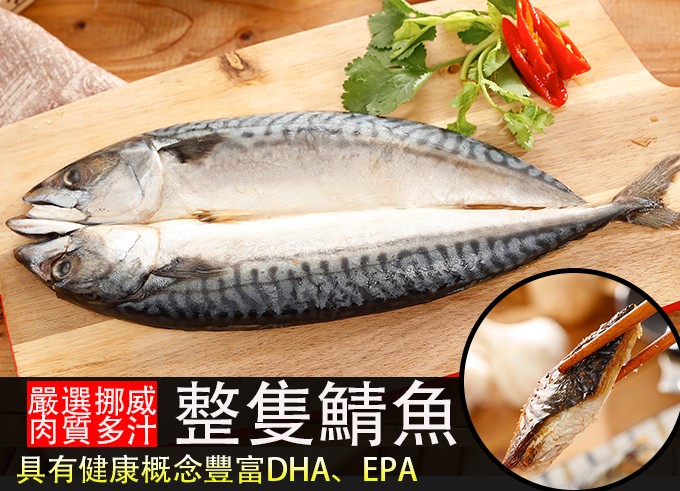 國響整隻鯖魚,嚴選挪威,具有健康概念豐富DHA、EPA。