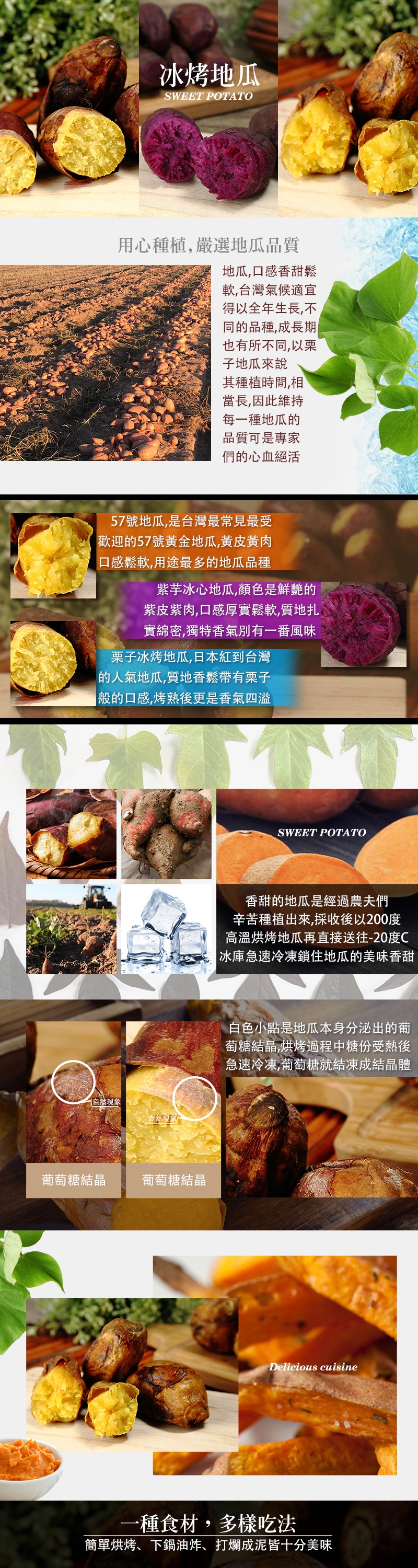 冰烤地瓜，用心種植,嚴選地瓜品質，地瓜,口感香甜鬆，軟,台灣氣候適宜，得以全年生長,不，同的品種,成長期，也有所不同,以栗，子地瓜來說，其種植時間,相，當長,因此維持，每一種地瓜的，品質可是專家，們的心血絕活，57號地瓜,是台灣最常見最受，歡迎的57