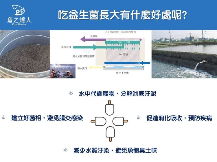 吃益生菌長大有什麼好處呢?魚之達人，LING冷能利用,低運海水管殖，天然氣，ORV上水，海水入口，ORV 管板，海水加氯滅藻類般菌，海水出口，CRV 下水槽，水中代謝廢物,分解池底汗泥，建立好菌相,避免腸炎感染，促進消化吸收,預防疾病，減少水質汙染,