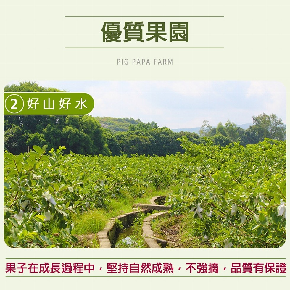 優質果園，(2) 好山好水，果子在成長過程中,堅持自然成熟,不強摘,品質有保證。