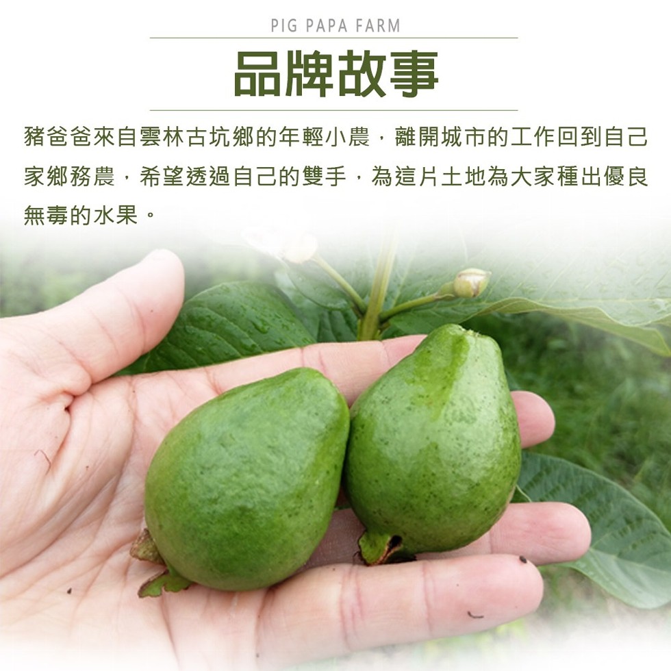 品牌故事，豬爸爸來自雲林古坑鄉的年輕小農,離開城市的工作回到自己，家鄉務農,希望透過自己的雙手,為這片土地為大家種出優良，無毒的水果。