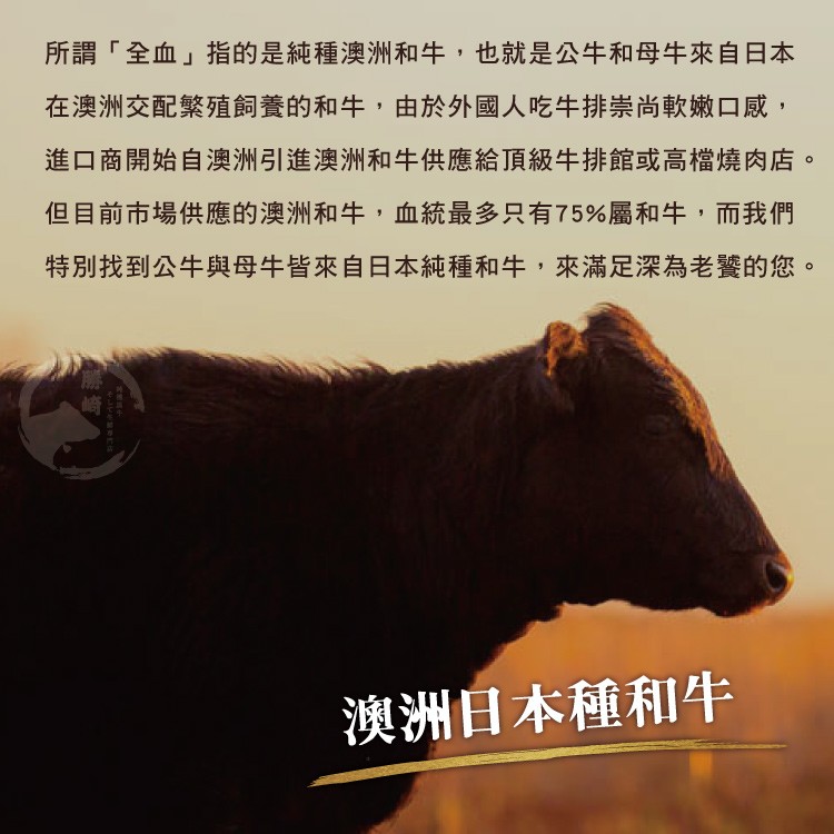 所謂全血指的是純種澳洲和牛,也就是公牛和母牛來自日本，在澳洲交配繁殖飼養的和牛,由於外國人吃牛排崇尚軟嫩口感,進口商開始自澳洲引進澳洲和牛供應給頂級牛排館或高檔燒肉店，但目前市場供應的澳洲和牛,血統最多只有75%屬和牛,而我們，特別找到公牛與母牛皆來