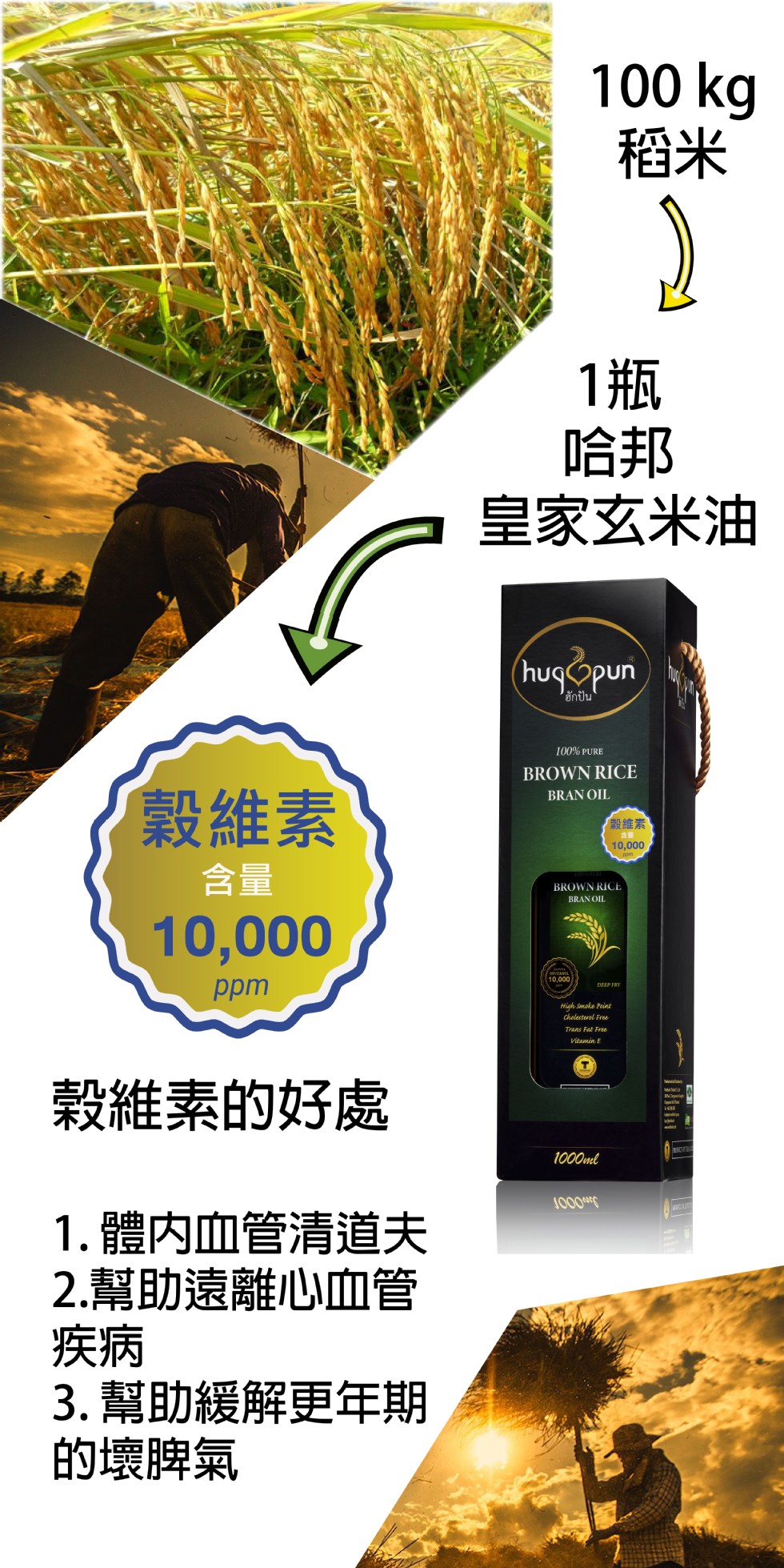 皇家玄米油,ฮักปัน,穀維素,穀維素,穀維素的好處,1.體内血管清道夫,2.幫助遠離心血管,3. 幫助緩解更年期,的壞脾氣。