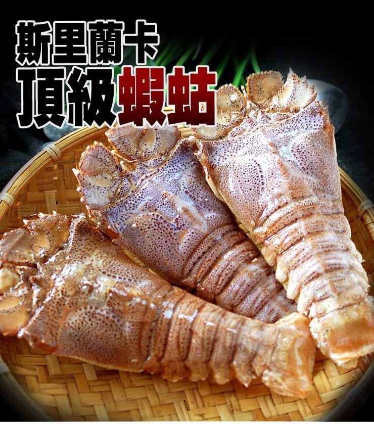 新里蘭卡，頂級蝦站。