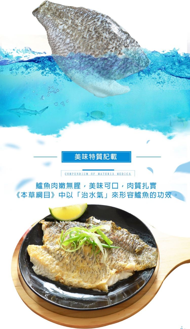 美味特質記載,鱸魚肉嫩無腥,美味可口,肉質扎實,《本草綱目》中以治水氣來形容鱸魚的功效。