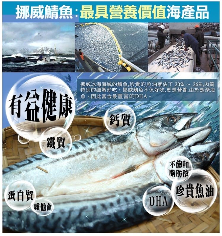 挪威鯖魚:最具營養價值海產品，挪威冰海海域的鯖魚,珍貴的魚油就佔了20%~26%,肉質，特別的細嫩好吃。挪威鯖魚不但好吃,更是營養,由於是深海，魚,因此富含最豐富的DHA。徐健康，不飽和，脂肪酸，蛋白質，維他命，參貴魚油。