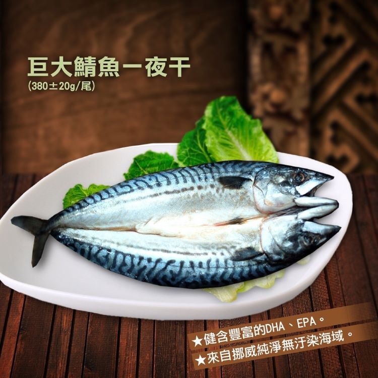 巨大鯖魚一夜干，(380土20g/尾)，★健含豐富的DHA、EPA。★來自挪威純淨無汙染海域。