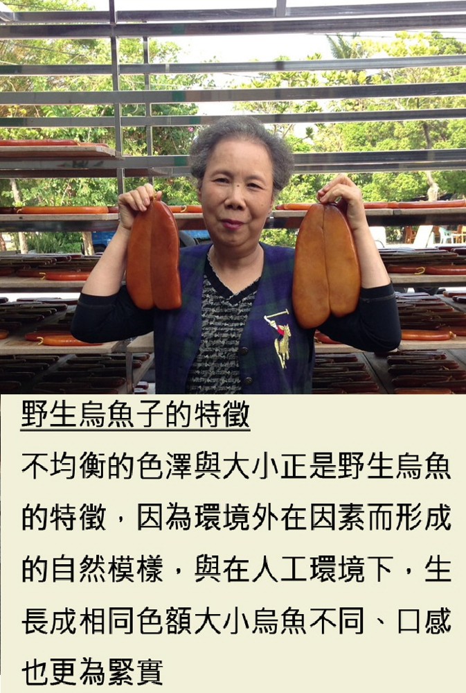 野生烏魚子的特徵，不均衡的色澤與大小正是野生烏魚，的特徵,因為環境外在因素而形成，的自然模樣,與在人工環境下,生，長成相同色額大小烏魚不同、口感，也更為緊實。