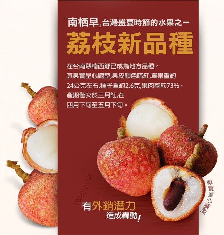 南栖早,台灣盛夏時節的水果之一,荔枝新品種,在台南縣楠西鄉已成為地方品種。其果實呈心臟型,果皮顏色暗紅,單果重約,24公克左右,種子重約2.6克,果肉率約73%。產期僅次於三月紅,在,四月下旬至五月下旬。有外銷潛力,造成轟動D靈型。
