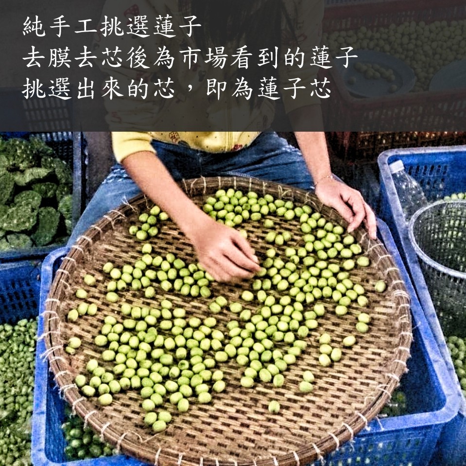 純手工挑選蓮子,去膜去芯後為市場看到的蓮子,挑選出來的芯,即為蓮子芯。
