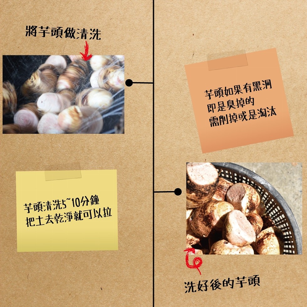 將芋頭做清洗,芋頭如果有黑洞,即是臭掉的,需削掉或是淘汰,芋頭清洗5“10分鐘,把土去乾淨就可以拉,洗好後的芋頭。