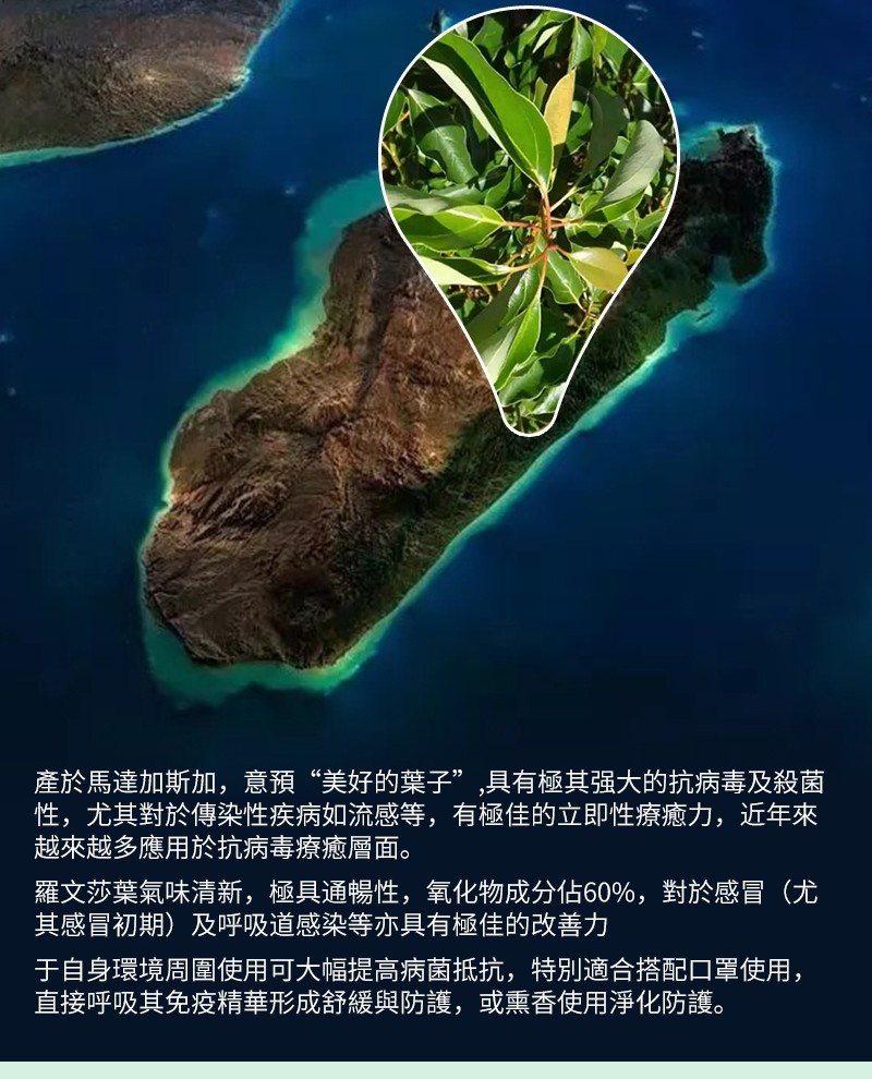 產於馬達加斯加,意預“美好的葉子”,具有極其强大的抗病毒及殺菌,性,尤其對於傳染性疾病如流感等,有極佳的立即性療癒力,近年來,越來越多應用於抗病毒療癒層面。羅文莎葉氣味清新,極具通暢性,氧化物成分佔60%,對於感冒(尤,其感冒初期)及呼吸道感染等亦具