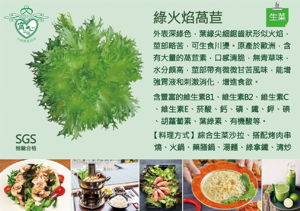 綠火焰高苣，外表深綠色,葉緣尖細鋸齒狀形似火焰,莖部略苦,可生食川燙。原產於歐洲,含，有大量的萵苣素,口感清脆,無青草味,水分頗高,莖部帶有微微甘苦風味,能增，強胃液和刺激消化,增進食欲。含豐富的維生素B1、維生素B2、維生素C，維生素E、菸酸、鈣、
