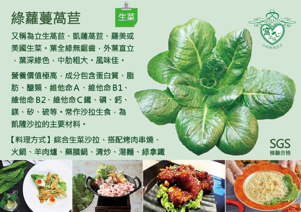 綠蘿蔓萵苣，又稱為立生萵苣、凱薩萵昔、羅美或，美國生菜。葉全綠無鋸齒,外葉直立，葉深綠色,中肋粗大。風味佳。營養價值極高,成分包含蛋白質、脂，肪、醣類、維他命A、維他命B1、維他命B2、維他命 C鐵、磷、鈣、鎂、矽、硫等。常作沙拉生食,為，凱薩沙拉的