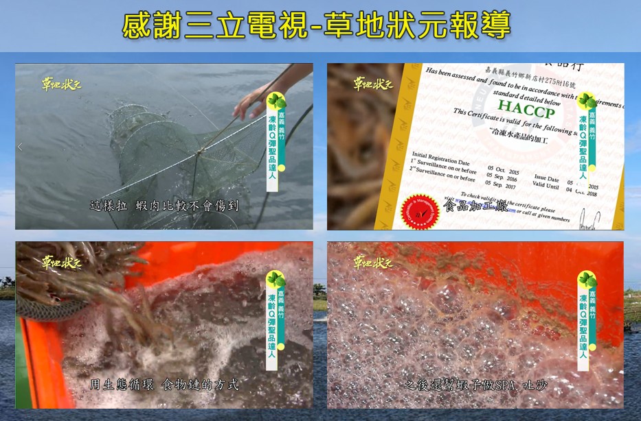 感謝三立電視-草地狀元報導,幸把状之,嘉義縣義竹鄉新店村275附16號,НАССР,“冷凍水南品的加工,幸把状。這樣拉蝦肉比較不會傷到,批状之,之後還幫蝦子做SPA 上沙,周生態循環 食物鏈的方式”,嘉義義竹,東齡Q彈聖品達人,嘉義義竹,凍齡Q彈聖品