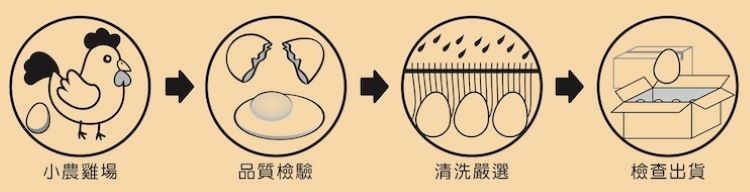 小農雞場,品質檢驗,清洗嚴選,檢查出貨。