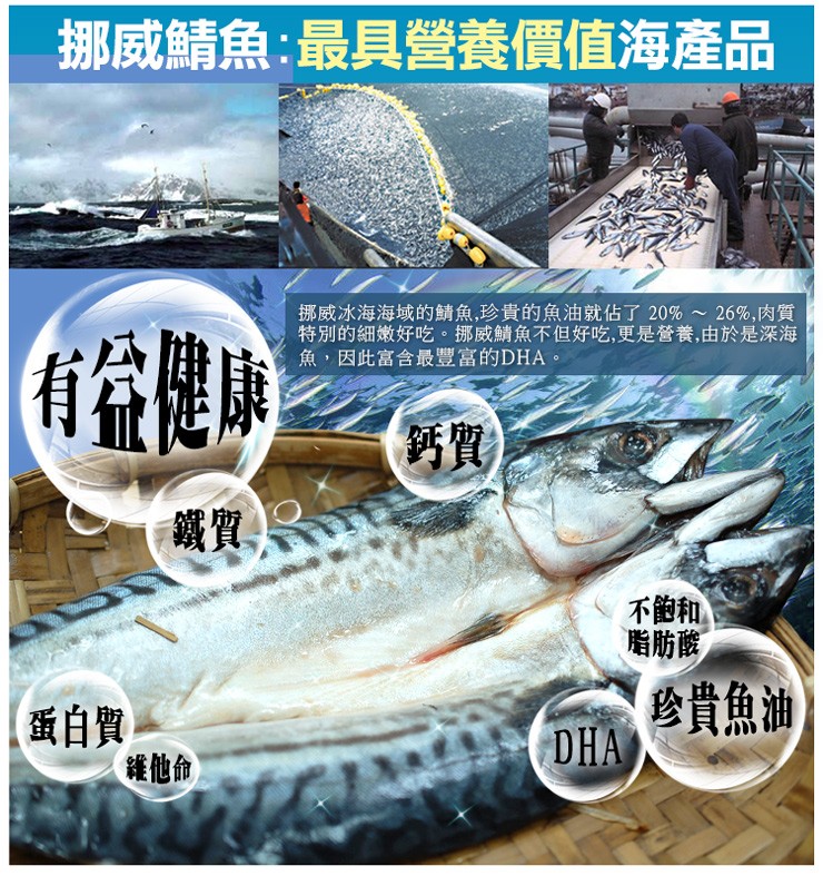 挪威鯖魚:最具營養價值海產品，挪威冰海海域的鯖魚,珍貴的魚油就佔了20%~ 26%,肉質，特別的細嫩好吃。挪威鯖魚不但好吃,更是營養,由於是深海，魚,因此富含最豐富的DHA。有從健康，不飽和，脂肪酸，參貴魚油，(蛋白質，維他命)。