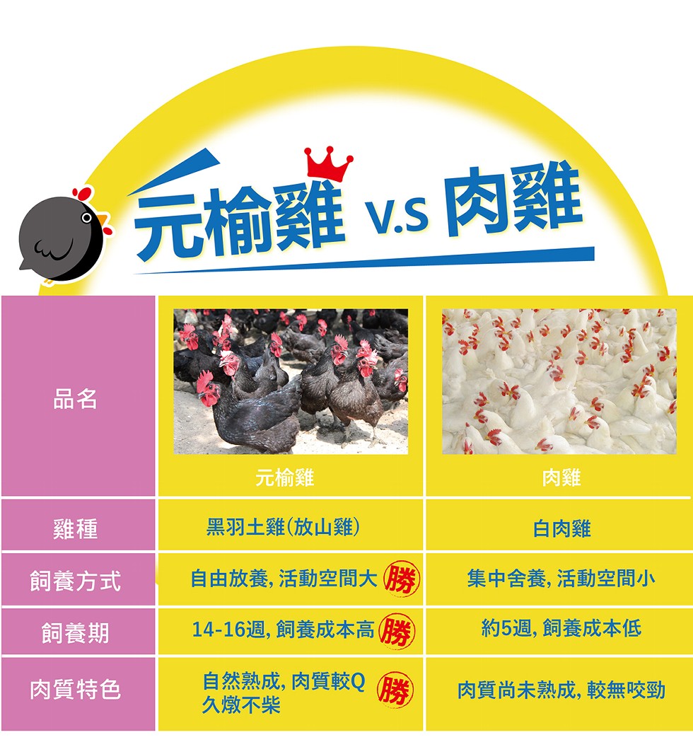 元榆雞 vs 肉雞，元榆雞，黑羽土雞(放山雞)，白肉雞，飼養方式，自由放養,活動空間大(勝)，集中舍養,活動空間小，飼養期，14-16週,飼養成本高(勝)，約5週,飼養成本低，肉質特色，自然熟成,肉質較Q 勝)，久燉不柴，肉質尚未熟成,較無咬勁。