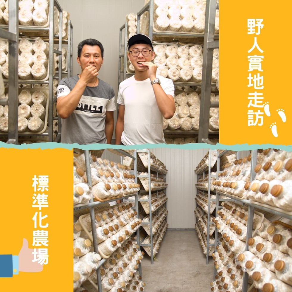 野人實地走訪，標準化農場。